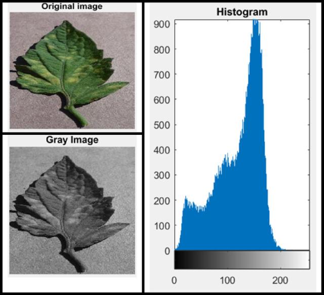 https://cdn.ncbi.nlm.nih.gov/pmc/blobs/f138/12075612/d02f4320476c/41598_2025_1466_Fig8_HTML.jpg