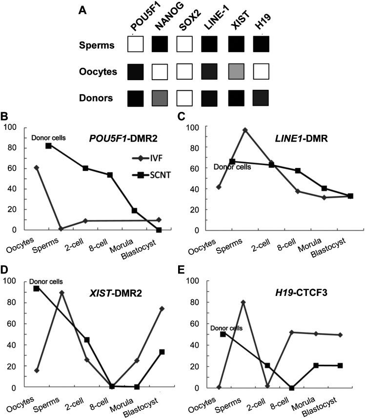 https://cdn.ncbi.nlm.nih.gov/pmc/blobs/f138/7768172/37f5e71e7de6/jrd-66-505-g008.jpg