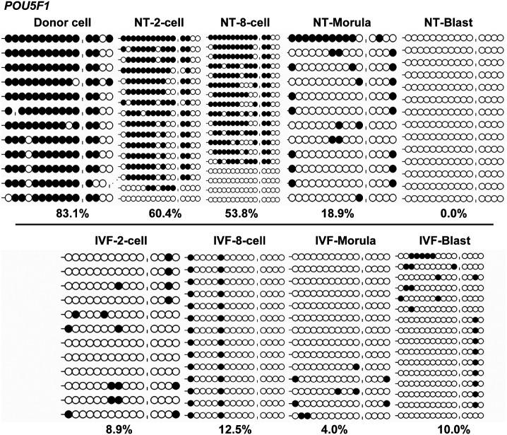 https://cdn.ncbi.nlm.nih.gov/pmc/blobs/f138/7768172/76fae256b4d8/jrd-66-505-g005.jpg