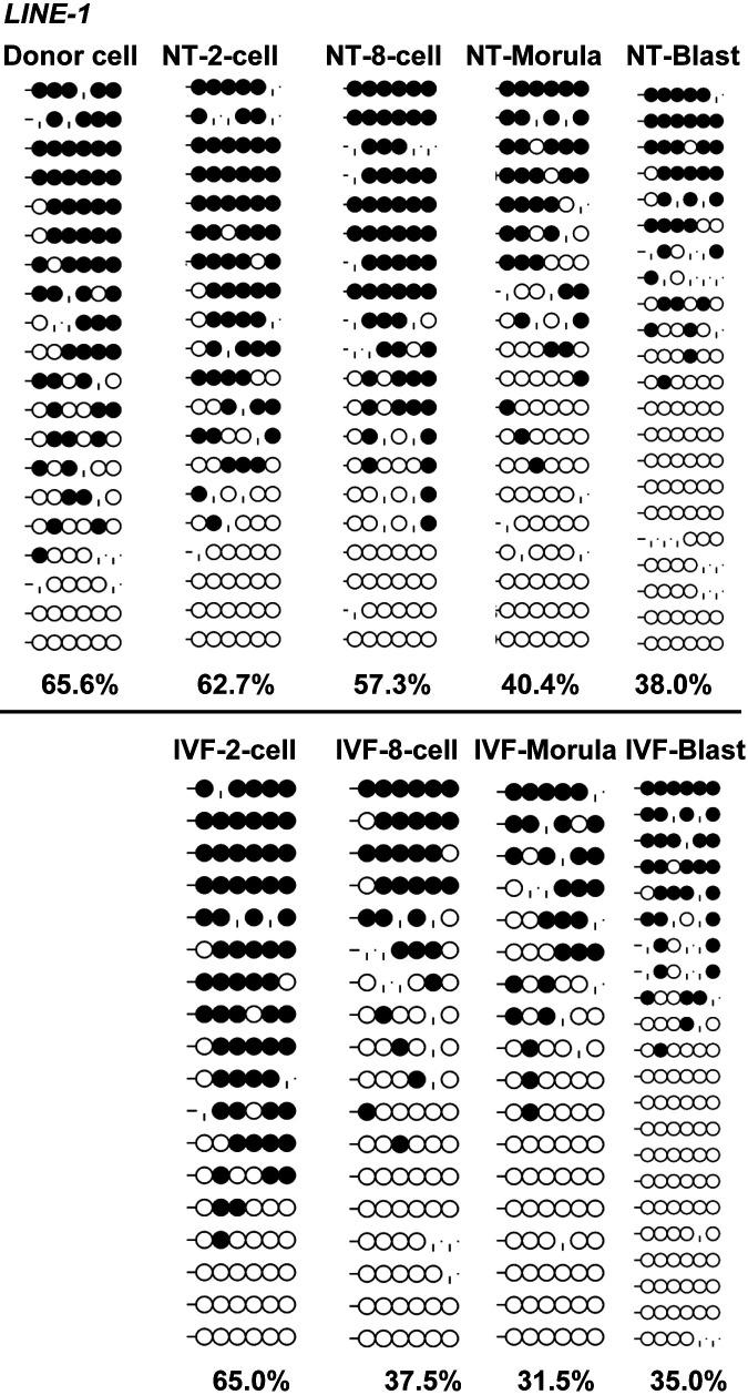 https://cdn.ncbi.nlm.nih.gov/pmc/blobs/f138/7768172/dd289b99c29f/jrd-66-505-g006.jpg