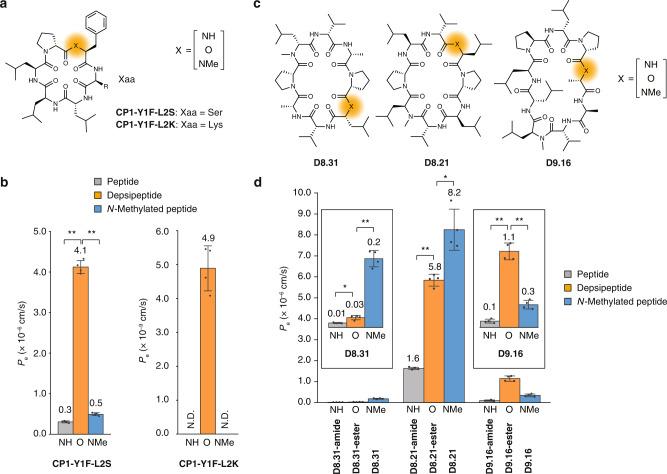 https://cdn.ncbi.nlm.nih.gov/pmc/blobs/f13b/10023679/0183bf17c449/41467_2023_36978_Fig5_HTML.jpg