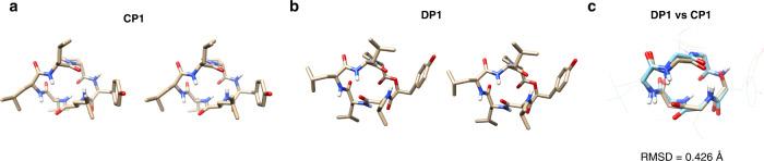 https://cdn.ncbi.nlm.nih.gov/pmc/blobs/f13b/10023679/0e8db764430f/41467_2023_36978_Fig3_HTML.jpg