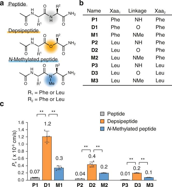 https://cdn.ncbi.nlm.nih.gov/pmc/blobs/f13b/10023679/e92a26f00fad/41467_2023_36978_Fig1_HTML.jpg