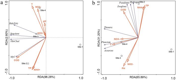 https://cdn.ncbi.nlm.nih.gov/pmc/blobs/f13b/9046219/6449c3d92551/41598_2022_9579_Fig4_HTML.jpg