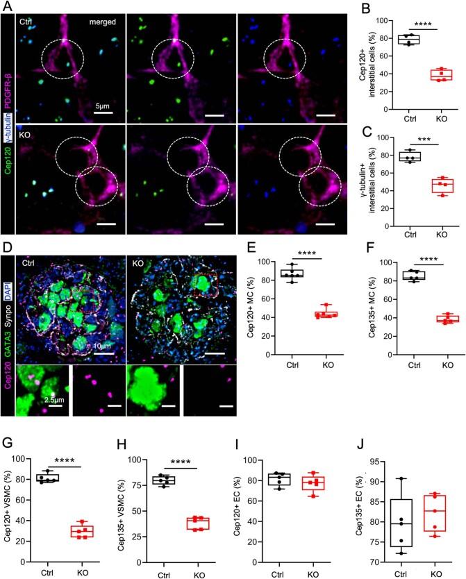 https://cdn.ncbi.nlm.nih.gov/pmc/blobs/f13c/10897188/44606ed70ec8/44319_2023_19_Fig7_ESM.jpg
