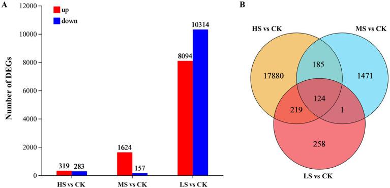 https://cdn.ncbi.nlm.nih.gov/pmc/blobs/f13d/11554505/bc7663e0b592/fmicb-15-1476738-g004.jpg