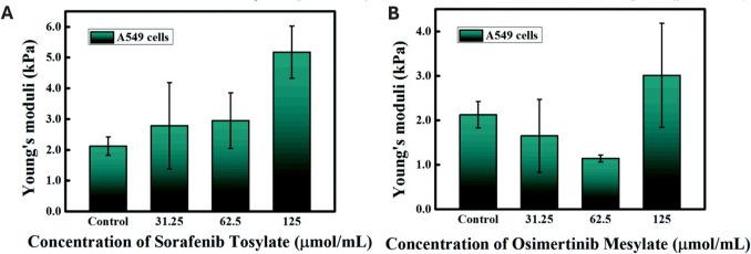 https://cdn.ncbi.nlm.nih.gov/pmc/blobs/f13d/12075069/3824620d3f90/12551_2025_1306_Fig7_HTML.jpg