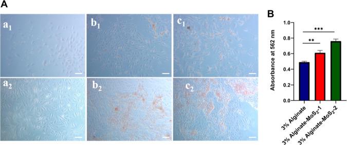 https://cdn.ncbi.nlm.nih.gov/pmc/blobs/f13d/9352227/2cced46d9de8/ao2c00995_0012.jpg