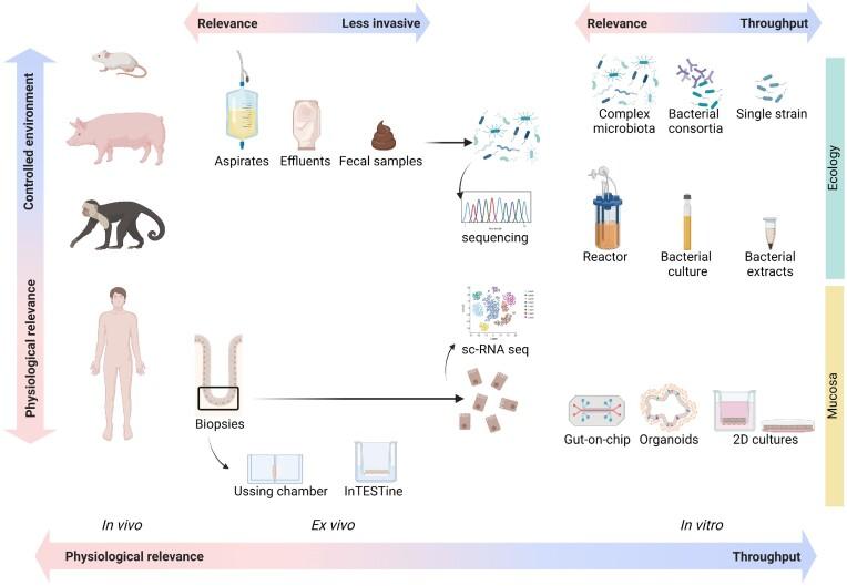 https://cdn.ncbi.nlm.nih.gov/pmc/blobs/f13e/10246847/8e7bca775262/fuad022fig2.jpg