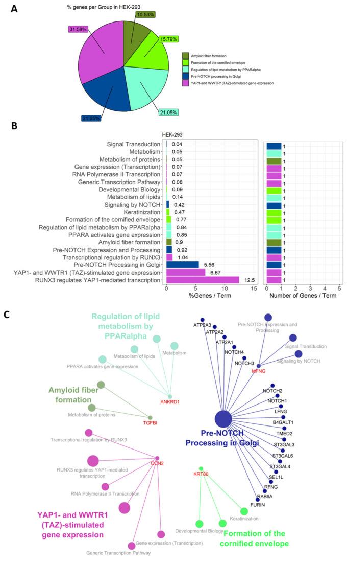 https://cdn.ncbi.nlm.nih.gov/pmc/blobs/f13e/11353914/963a091745c2/genes-15-01010-g005.jpg