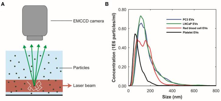 https://cdn.ncbi.nlm.nih.gov/pmc/blobs/f13e/7287034/af2556a42983/fonc-10-00608-g0002.jpg