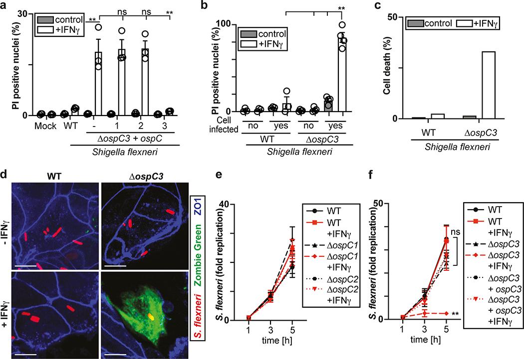https://cdn.ncbi.nlm.nih.gov/pmc/blobs/f13e/7381384/3719d8f48b93/nihms-1589515-f0011.jpg