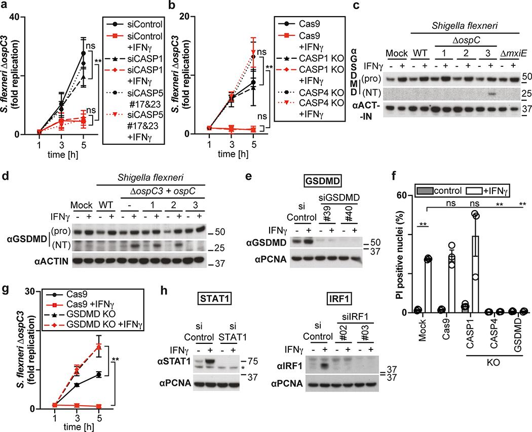 https://cdn.ncbi.nlm.nih.gov/pmc/blobs/f13e/7381384/e44decefbc21/nihms-1589515-f0012.jpg