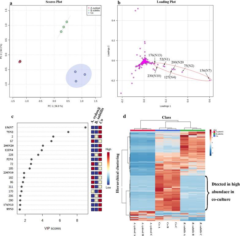 https://cdn.ncbi.nlm.nih.gov/pmc/blobs/f13f/7881642/273272075989/12934_2021_1527_Fig2_HTML.jpg