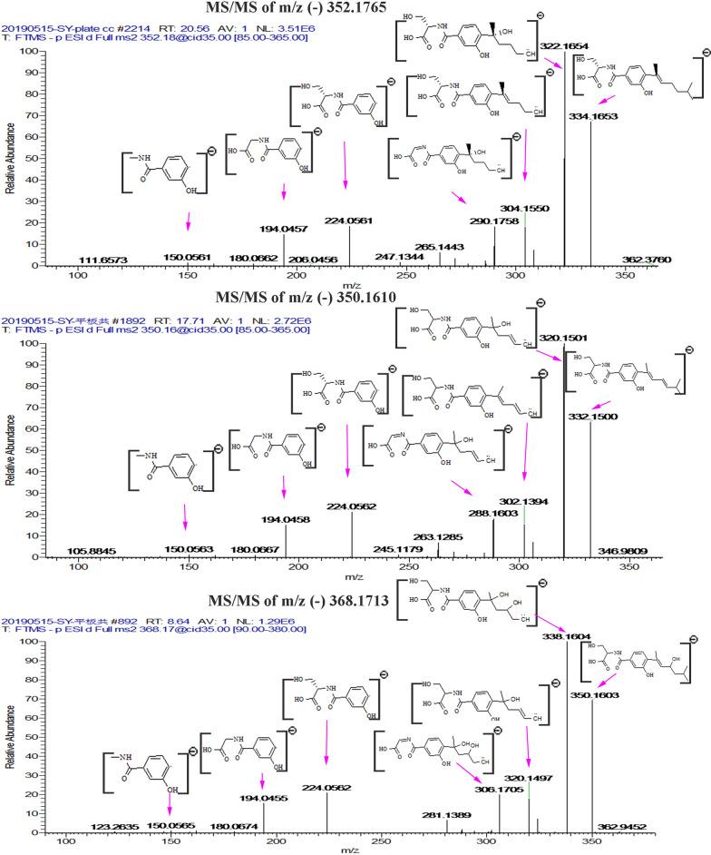 https://cdn.ncbi.nlm.nih.gov/pmc/blobs/f13f/7881642/7a122d4b84e5/12934_2021_1527_Fig8_HTML.jpg