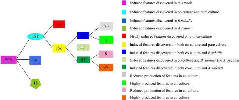 https://cdn.ncbi.nlm.nih.gov/pmc/blobs/f13f/7881642/97b12e8f4675/12934_2021_1527_Fig3_HTML.jpg
