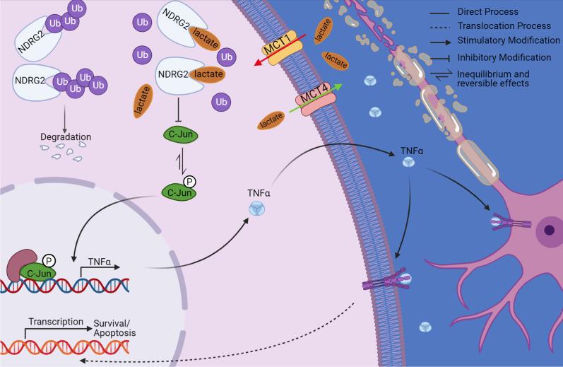 https://cdn.ncbi.nlm.nih.gov/pmc/blobs/f13f/9793555/2128b67ca0f2/12974_2022_2678_Fig8_HTML.jpg