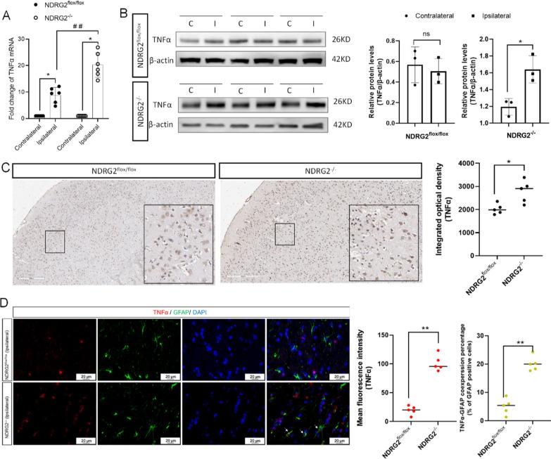 https://cdn.ncbi.nlm.nih.gov/pmc/blobs/f13f/9793555/25d38e76fd39/12974_2022_2678_Fig6_HTML.jpg