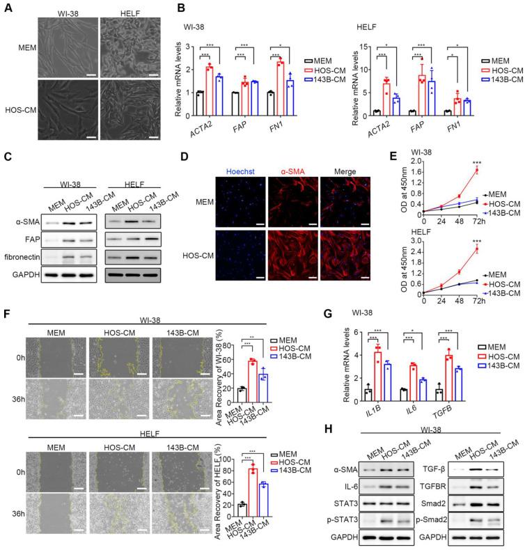 https://cdn.ncbi.nlm.nih.gov/pmc/blobs/f141/12223780/e1603a91296e/ijbsv21p4153g001.jpg
