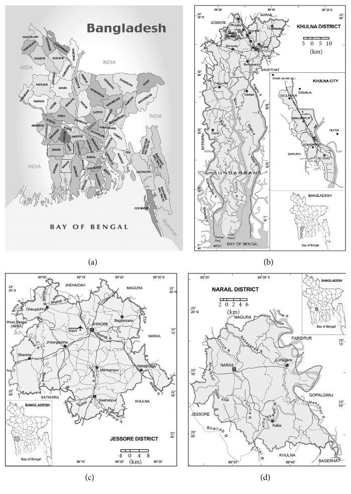 https://cdn.ncbi.nlm.nih.gov/pmc/blobs/f141/4897194/5179ec2f40bc/ISRN2016-7832120.001.jpg