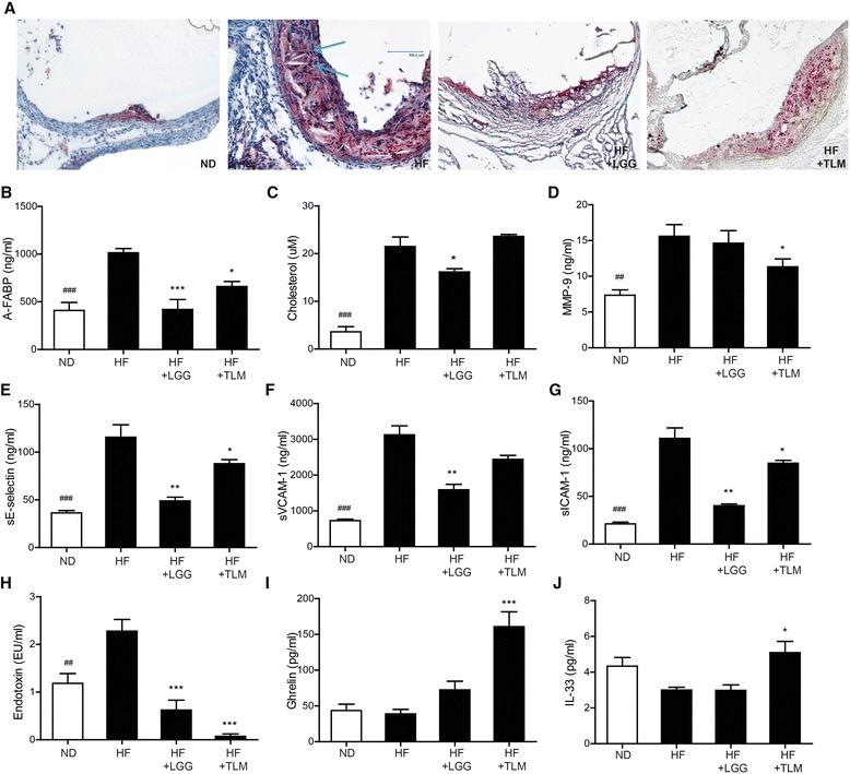 https://cdn.ncbi.nlm.nih.gov/pmc/blobs/f142/5100306/0aebeda4dd79/12866_2016_883_Fig2_HTML.jpg