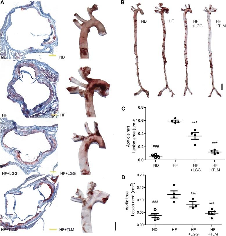 https://cdn.ncbi.nlm.nih.gov/pmc/blobs/f142/5100306/5f3a4819d76f/12866_2016_883_Fig1_HTML.jpg