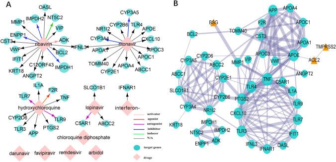 https://cdn.ncbi.nlm.nih.gov/pmc/blobs/f142/7797890/5248c81c7ef4/13258_2020_1021_Fig2_HTML.jpg