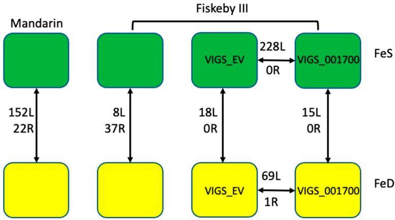 https://cdn.ncbi.nlm.nih.gov/pmc/blobs/f142/8537376/232a97af9d68/ijms-22-11032-g004.jpg
