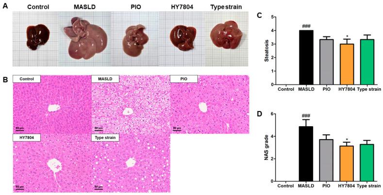 https://cdn.ncbi.nlm.nih.gov/pmc/blobs/f143/12027198/5af737942b1b/ijms-26-03557-g003.jpg