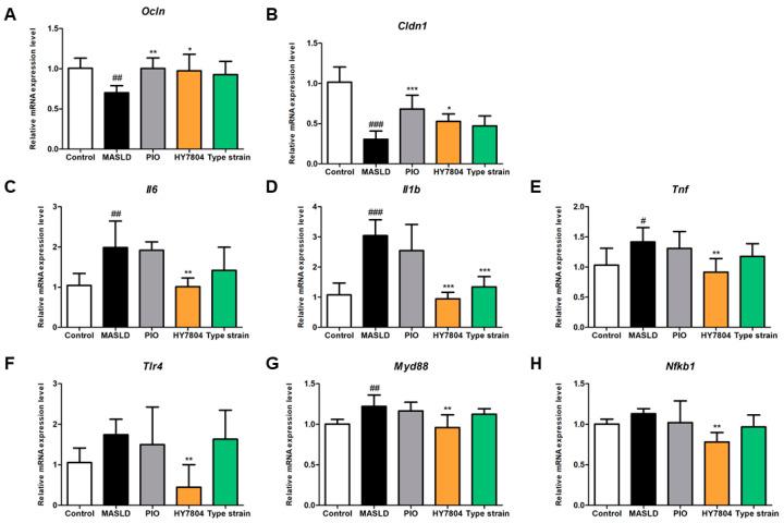 https://cdn.ncbi.nlm.nih.gov/pmc/blobs/f143/12027198/750d178f67fc/ijms-26-03557-g005.jpg
