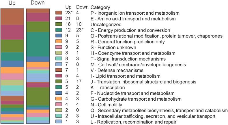 https://cdn.ncbi.nlm.nih.gov/pmc/blobs/f143/6470190/7a01d024d2db/fmicb-10-00755-g005.jpg
