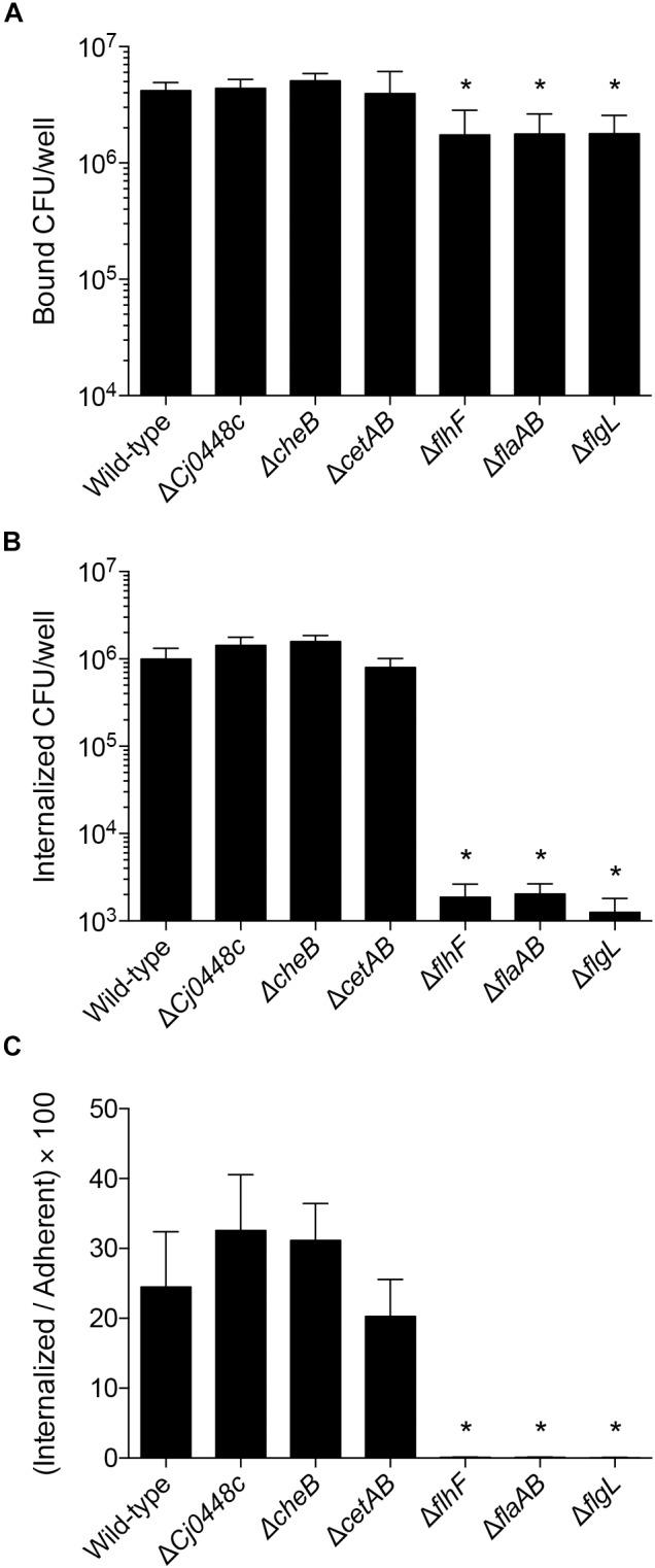 https://cdn.ncbi.nlm.nih.gov/pmc/blobs/f143/6470190/fe1aa45e16bb/fmicb-10-00755-g008.jpg