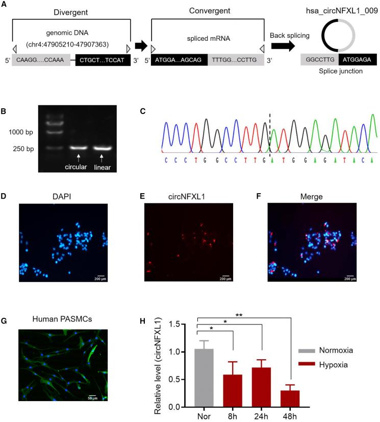 https://cdn.ncbi.nlm.nih.gov/pmc/blobs/f144/7868929/a81ace8ab4db/gr3.jpg