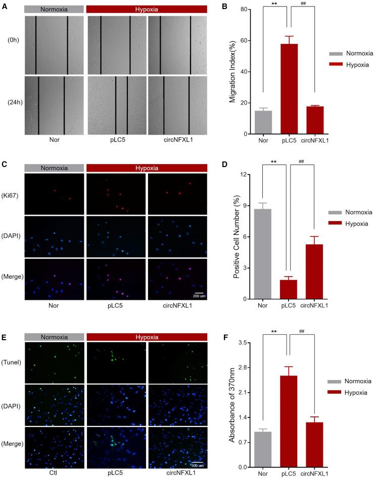 https://cdn.ncbi.nlm.nih.gov/pmc/blobs/f144/7868929/fc88520fd4b2/gr4.jpg