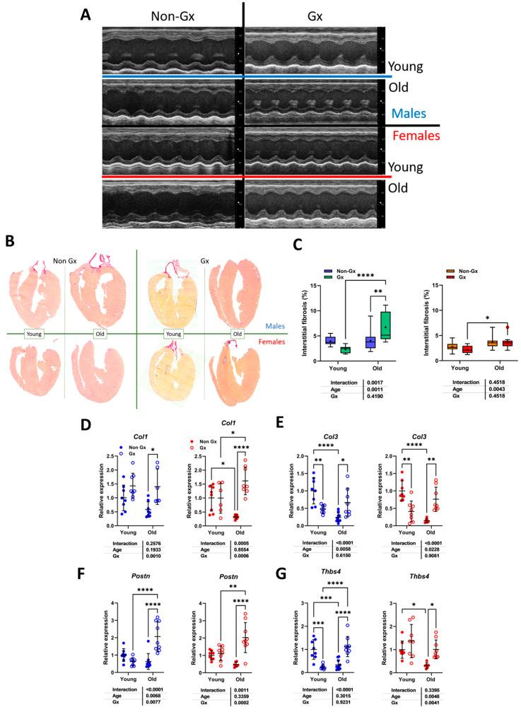 https://cdn.ncbi.nlm.nih.gov/pmc/blobs/f145/12190614/3c2c24dd3856/cells-14-00870-g002.jpg