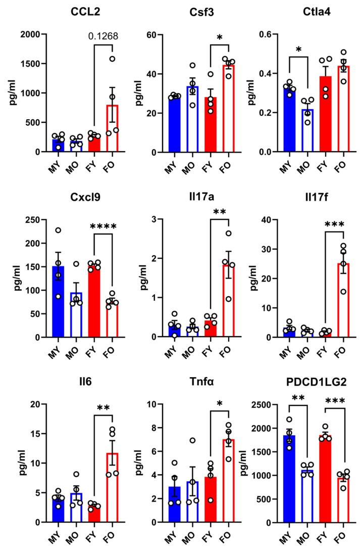 https://cdn.ncbi.nlm.nih.gov/pmc/blobs/f145/12190614/3e162da4f0e9/cells-14-00870-g003.jpg