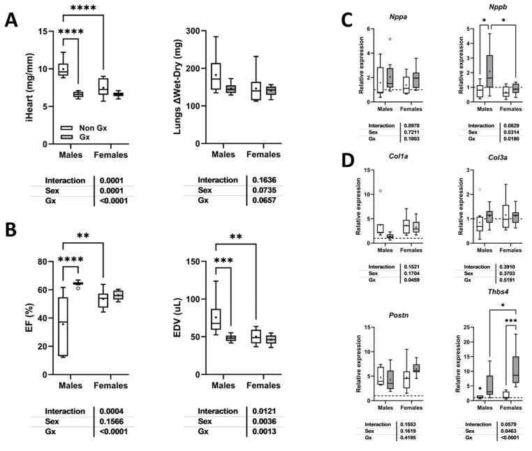 https://cdn.ncbi.nlm.nih.gov/pmc/blobs/f145/12190614/9329b4442e70/cells-14-00870-g009.jpg