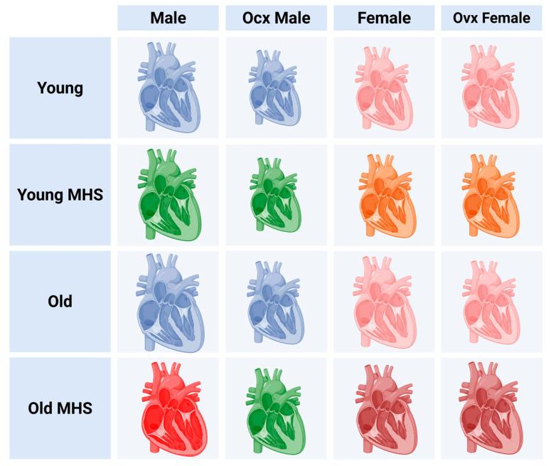 https://cdn.ncbi.nlm.nih.gov/pmc/blobs/f145/12190614/dc45267171d7/cells-14-00870-g010.jpg