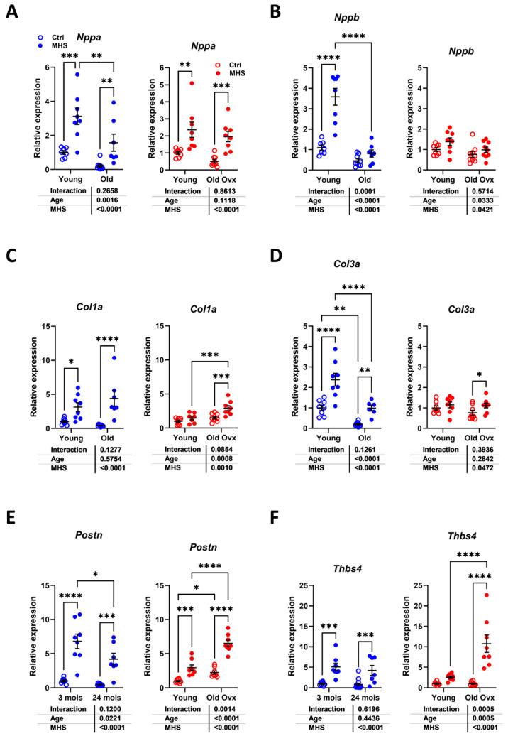 https://cdn.ncbi.nlm.nih.gov/pmc/blobs/f145/12190614/e45207d8476e/cells-14-00870-g007.jpg