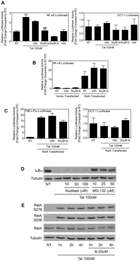 https://cdn.ncbi.nlm.nih.gov/pmc/blobs/f147/3072977/0af2324c411a/pone.0018633.g006.jpg