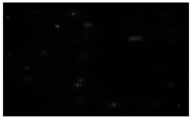 https://cdn.ncbi.nlm.nih.gov/pmc/blobs/f147/6789549/421b356395ad/mps-02-00056-g017.jpg