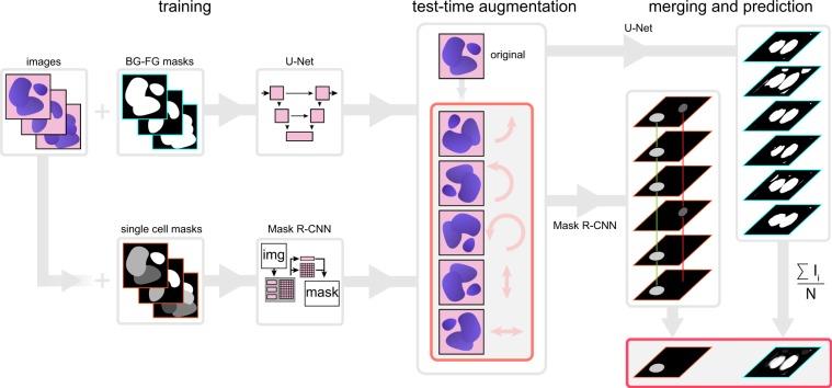 https://cdn.ncbi.nlm.nih.gov/pmc/blobs/f148/7081314/76212400b840/41598_2020_61808_Fig1_HTML.jpg