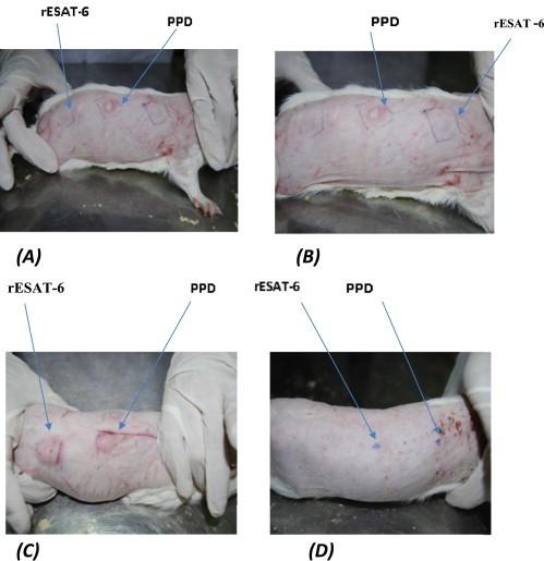 https://cdn.ncbi.nlm.nih.gov/pmc/blobs/f14b/4346597/bffb00ff7153/gr4.jpg