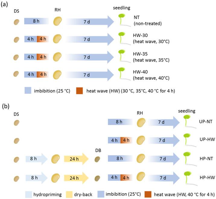 https://cdn.ncbi.nlm.nih.gov/pmc/blobs/f14c/11855731/5838f25cc47d/genes-16-00235-g001.jpg