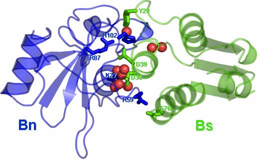 https://cdn.ncbi.nlm.nih.gov/pmc/blobs/f14c/1913526/4bf6a6752eb8/1472-6807-7-37-2.jpg