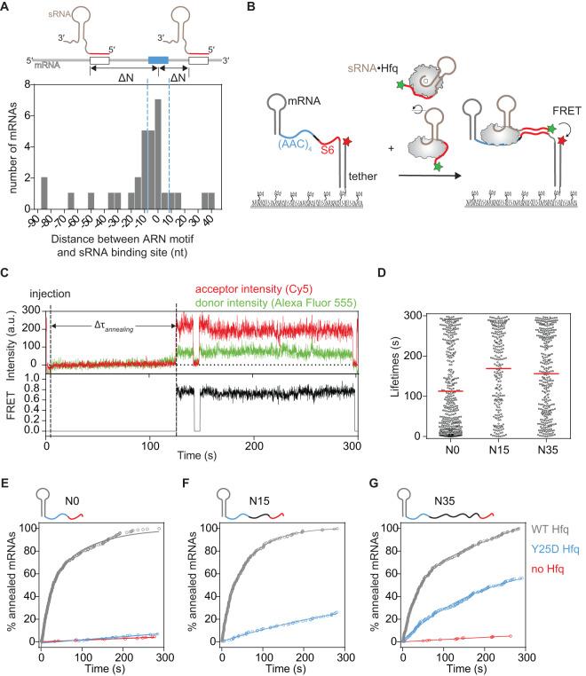 https://cdn.ncbi.nlm.nih.gov/pmc/blobs/f14e/10920880/720bca536d54/41467_2024_46316_Fig1_HTML.jpg