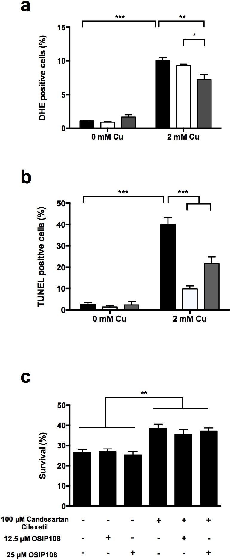 https://cdn.ncbi.nlm.nih.gov/pmc/blobs/f151/5349125/9f7c36e88664/mic-01-352-g02.jpg