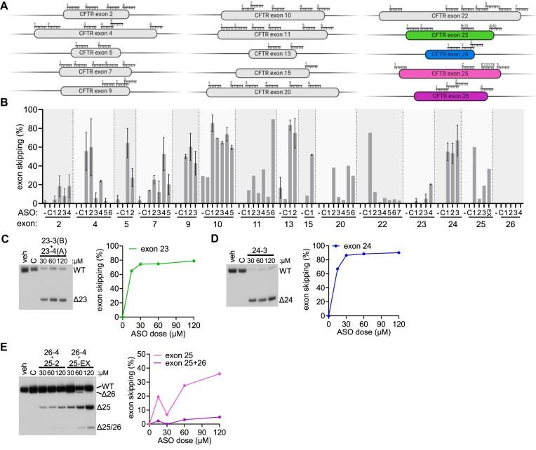 https://cdn.ncbi.nlm.nih.gov/pmc/blobs/f152/11579696/aa5f95812d9f/ugae017fig2.jpg