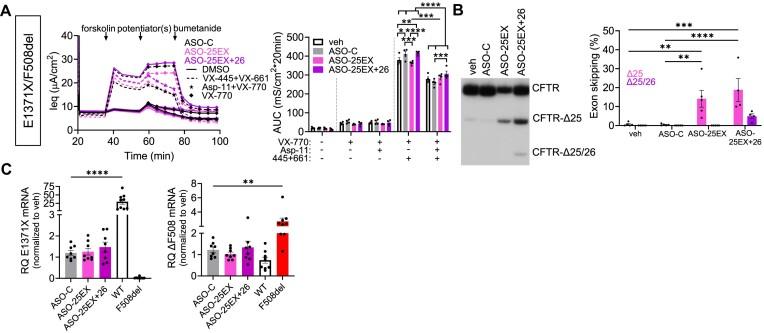 https://cdn.ncbi.nlm.nih.gov/pmc/blobs/f152/11579696/d1074ae57ca0/ugae017fig4.jpg