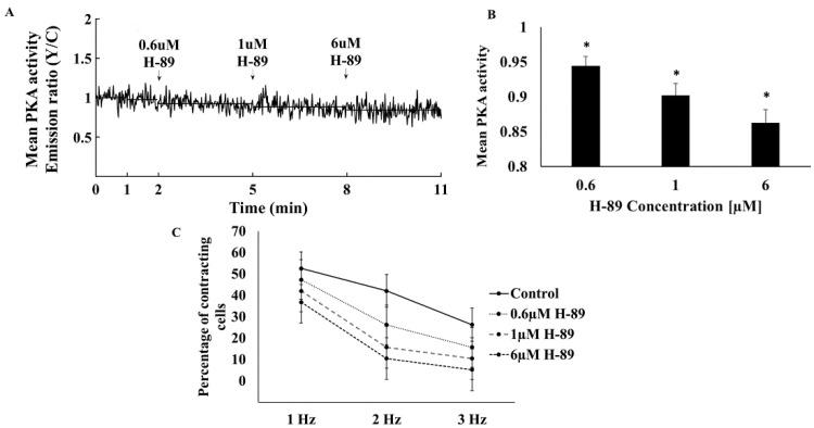 https://cdn.ncbi.nlm.nih.gov/pmc/blobs/f152/9319046/20ceb52fabc3/cells-11-02261-g002.jpg